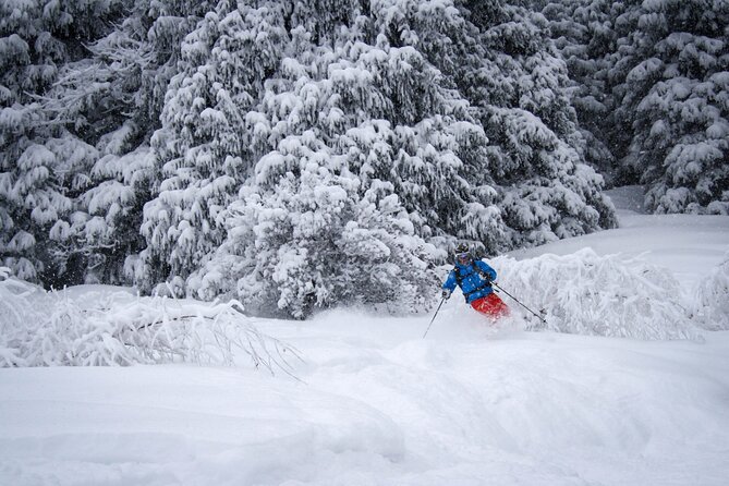 1-day Backcountry Tour - The 8:00 am start from Sadovaya