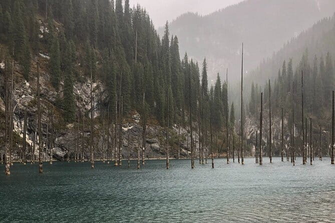 1 Day Private Tour to Charyn Canyon, Kolsay and Kaiyndy - Kaindy Lake and its sunken forest