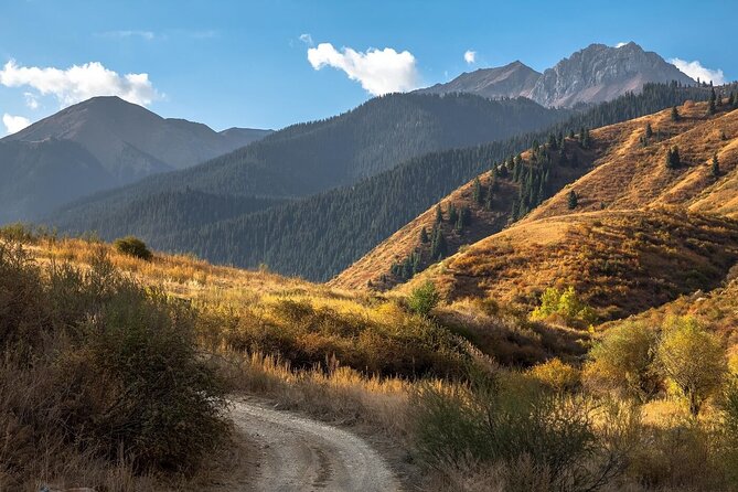 2 Days Tour: Charyn Canyon, Kaindy & Kolsay Lakes - A Kazakh family stay between the sights