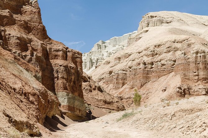 3 Days Tour: Altyn Emel NP, Charyn Canyon, Kaindy & Kolsay Lakes - Day 2: Charyn Canyon and the flooded forest at Kaindy