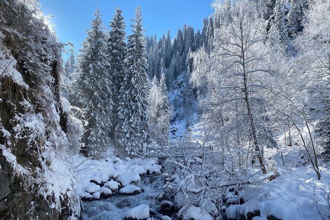 Alma-Arasan & Ayusai Mountain Gorges with Hot Springs Tour - Sunkar Falcon Farm and Kazakhstan’s nomadic traditions