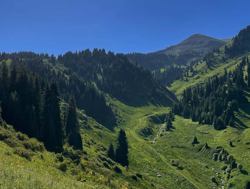 Almaty: Advanced Hiking - Four Peaks Hike - The ridge to Panorama Peak