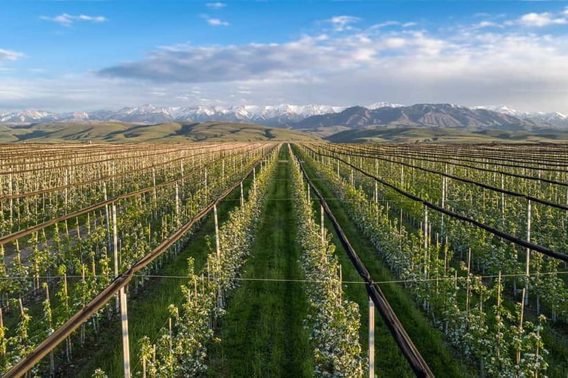 Almaty City: Big Almaty Lake Roundtrip Transfer and Tour - The apple orchard and seasonal side stops