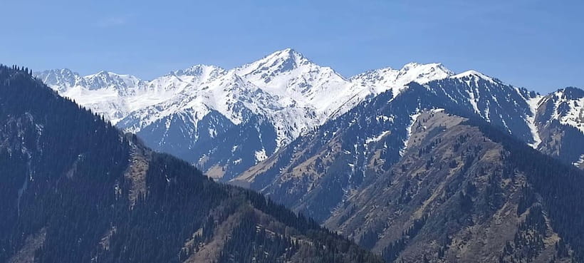 Almaty: Falconry show and Big Almaty Gorge - Is this Almaty mountain tour worth booking?