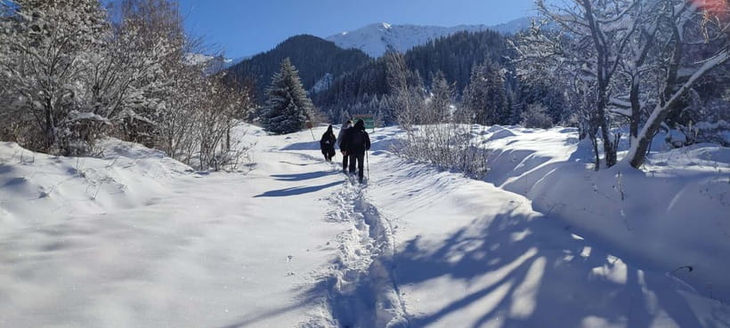 Almaty: Hiking to the High Mountain Pasture Kok Zhailau - The practical side of a private mountain day