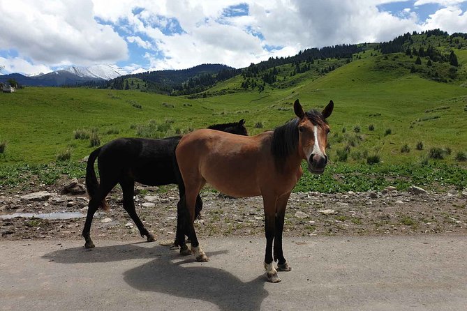 Almaty Region 3 Days Tour from Almaty - The guides can shape the whole experience