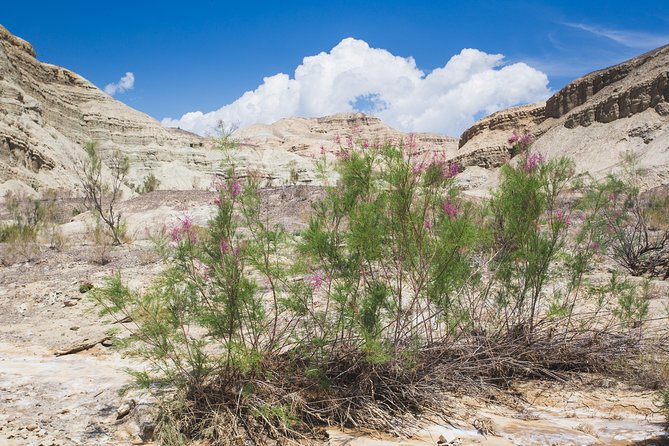 Altyn Emel. Singing dune and Aktau mountains 2 days tour - From Almaty to Kapchagay Reservoir