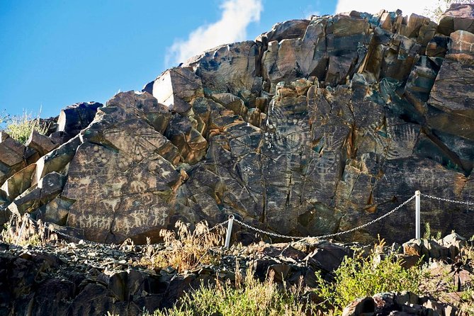 Ancient petroglyphs of Tanbaly - UNESCO World Heritage - Three hours among Bronze Age and medieval carvings