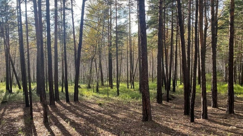 Astana: Burabay Oasis National Park Adventure - Horse riding through the forest