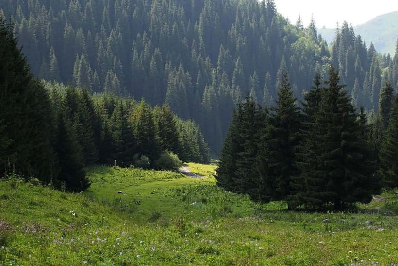 "Butakovka Waterfall" - a half day tour - What the 3.5-hour hike is really like