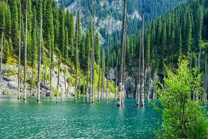 One day Private Tour to Charyn Canyon, Kaindy and Kolsay Lakes - What the $260 price really covers