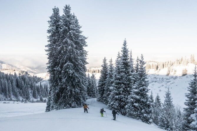One Day Ski Tour Near Almaty - Timing, pickup, and the practical details