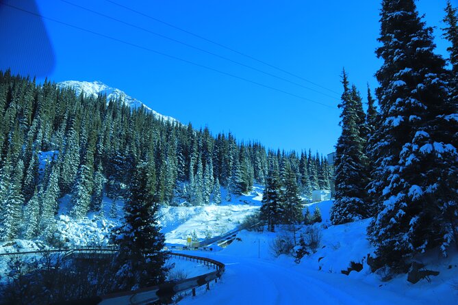 Private Big Almaty Lake Hiking Tour with alternatgive Pipeline - Should you book it?