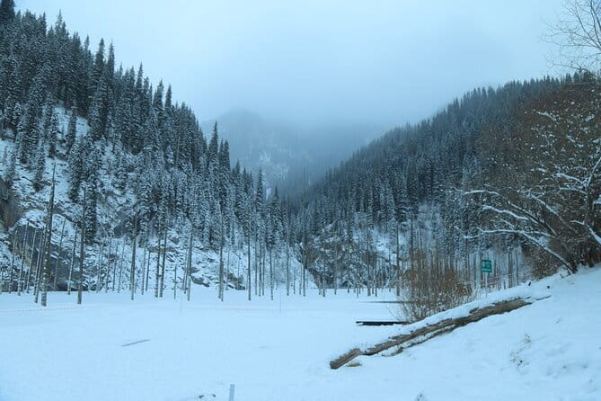 Private Charyn Canyon, Kolsai Lake with Optional Kaindy Lake tour - Kolsai Lake starts the mountain day