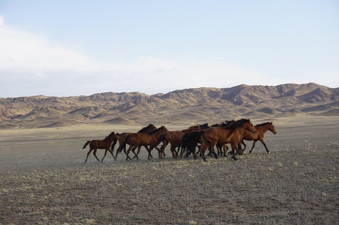 Private tour Almaty Region 3 days with Silktravel - Day one: Kapshagai, Basshi, and the white mountains