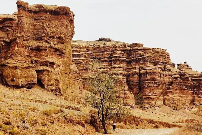 Private Tour to Charyn Canyons - What you can and cannot add at the Eco Park