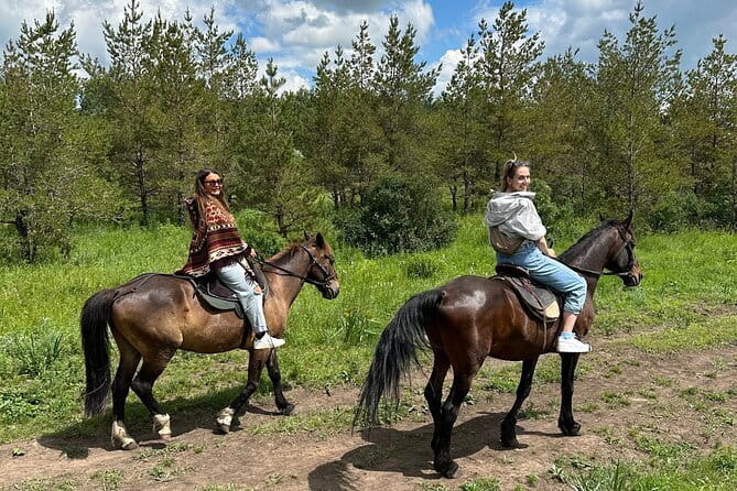 Private Yurt Tour with Horses: Immerse into Kazakh Culture - Inside the traditional yurt