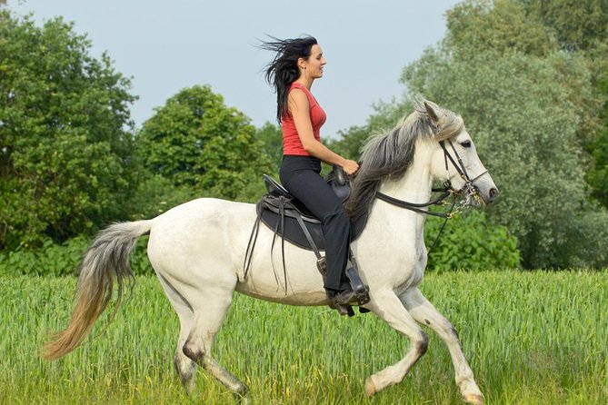 Tour to Burabay National Park - Abylai Khan’s Meadow and the Horse Ride