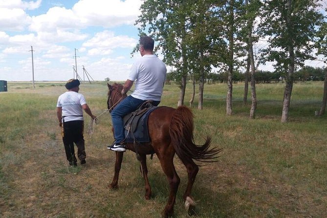 Trip to Kazakh family of Eagle hunters in Astana (6 hours) - Berkut traditions and the golden eagles